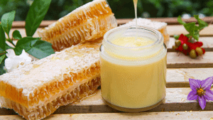 sữa ong chúa tươi