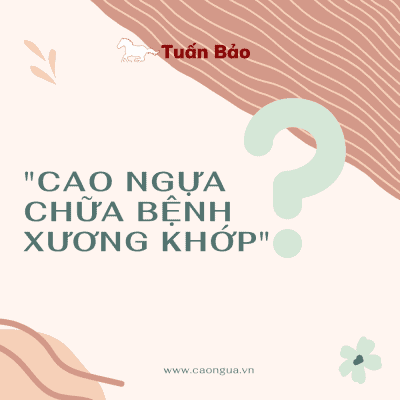 马提取物治疗骨关节疾病