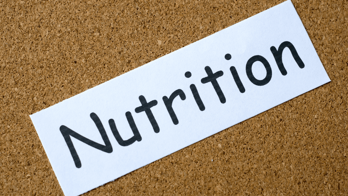 dinh dưỡng người cao tuổi