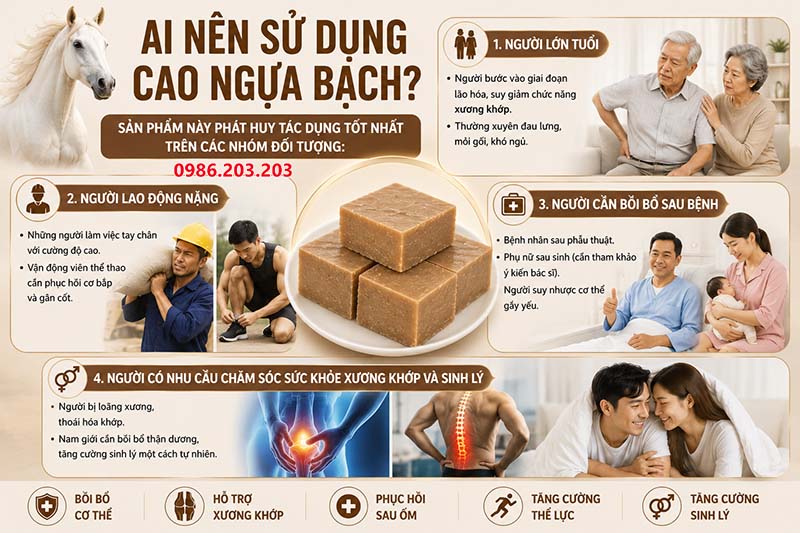 Những ai nên sử dụng cao ngựa bạch