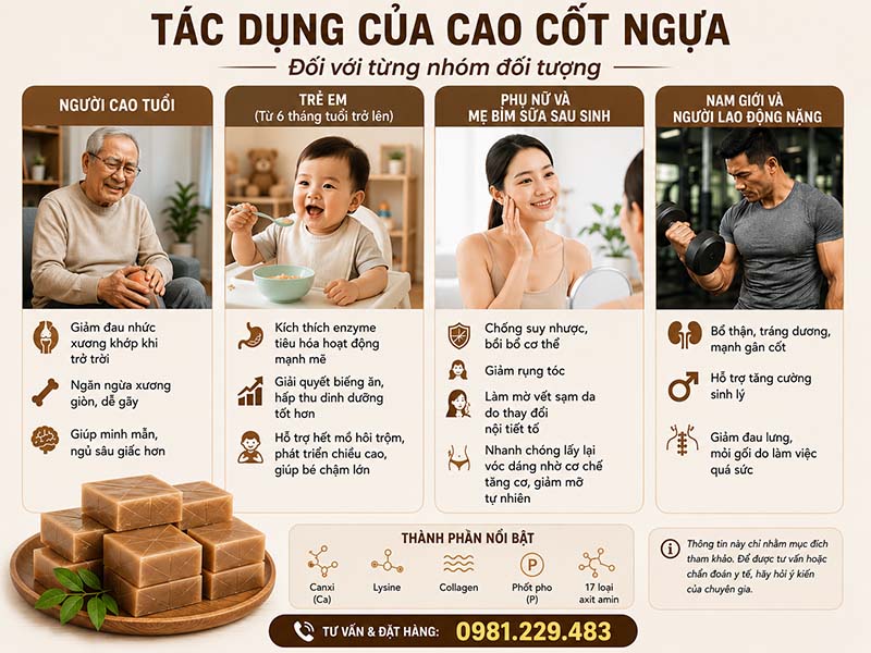 Lợi ích chuyên biệt của cao cốt ngựa đối với từng nhóm đối tượng