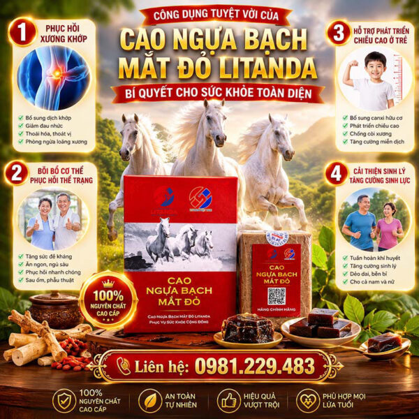 cong-dung-tuyet-voi-cua-cao-ngua-bach-litanda cong-dung-tuyet-voi-cua-cao-ngua-bach-litanda