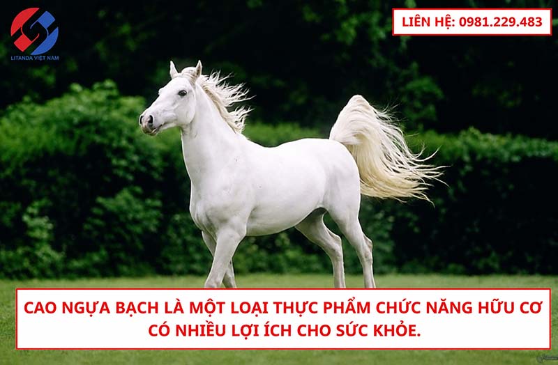 Cao ngựa có nhiều lợi ích cho sức khỏe, đặc biệt là cho xương khớp.