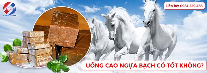 Uốn cao ngựa bạch có tốt không?