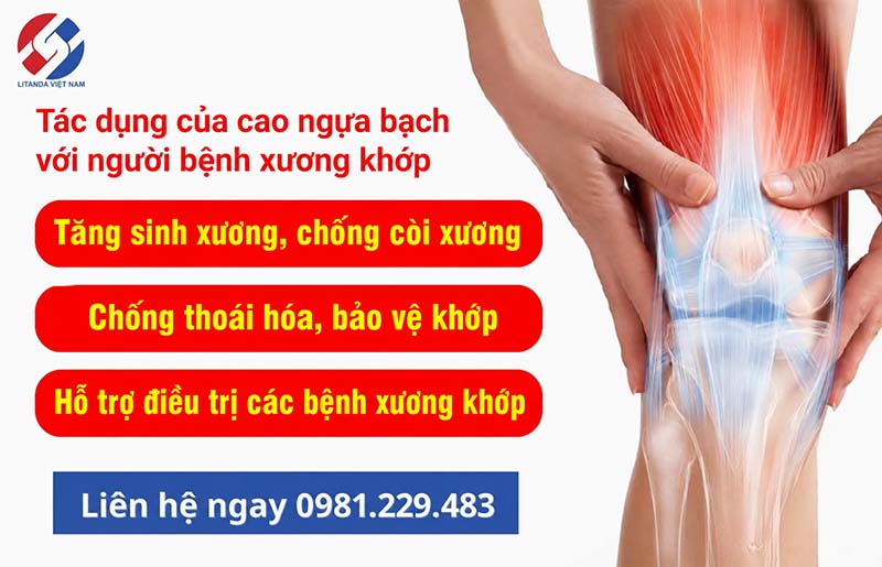 Công dụng của cao ngựa Litanda đối với xương khớp