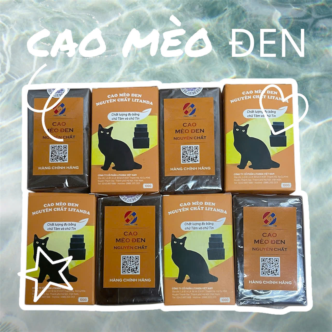 Cao Mèo Đen Nguyên Chất