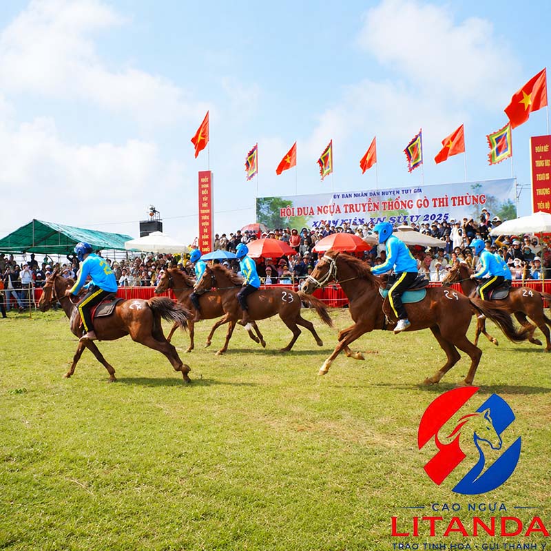 Lễ hội đua ngựa truyền thống Gò Thì Thùng