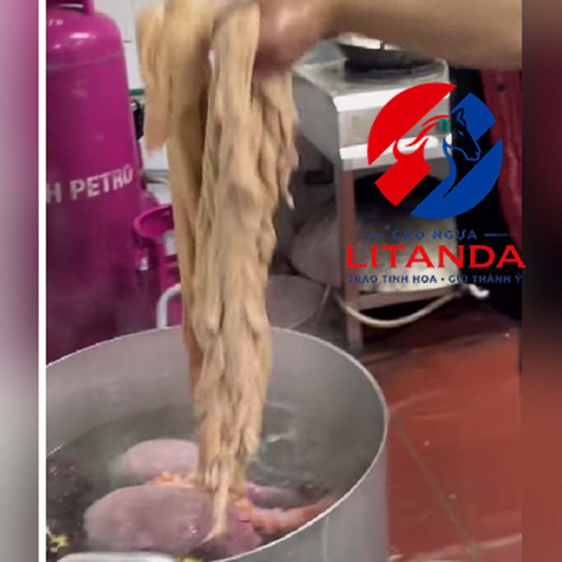 Sơ chế lòng ngựa Litanda