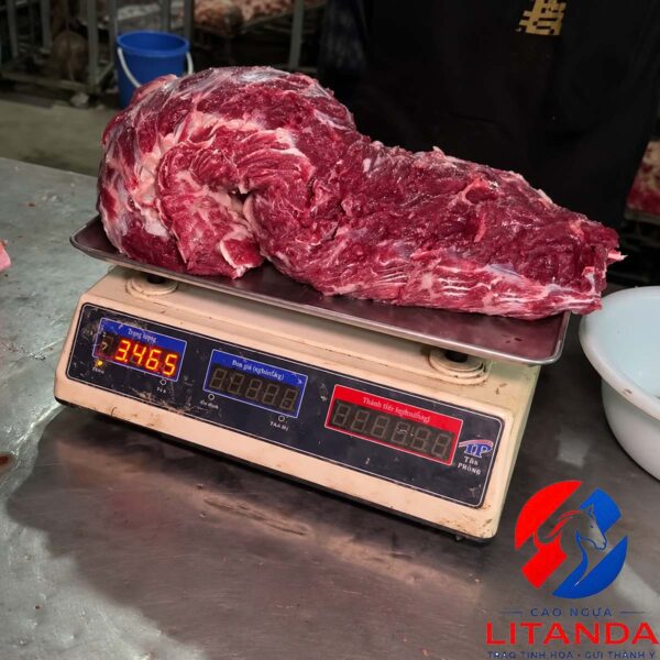 Thịt nạc vai ngựa Litanda