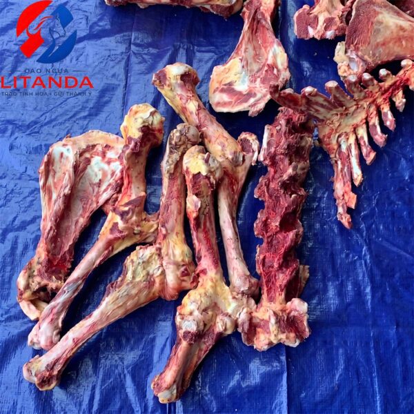 Xương ngựa Litanda