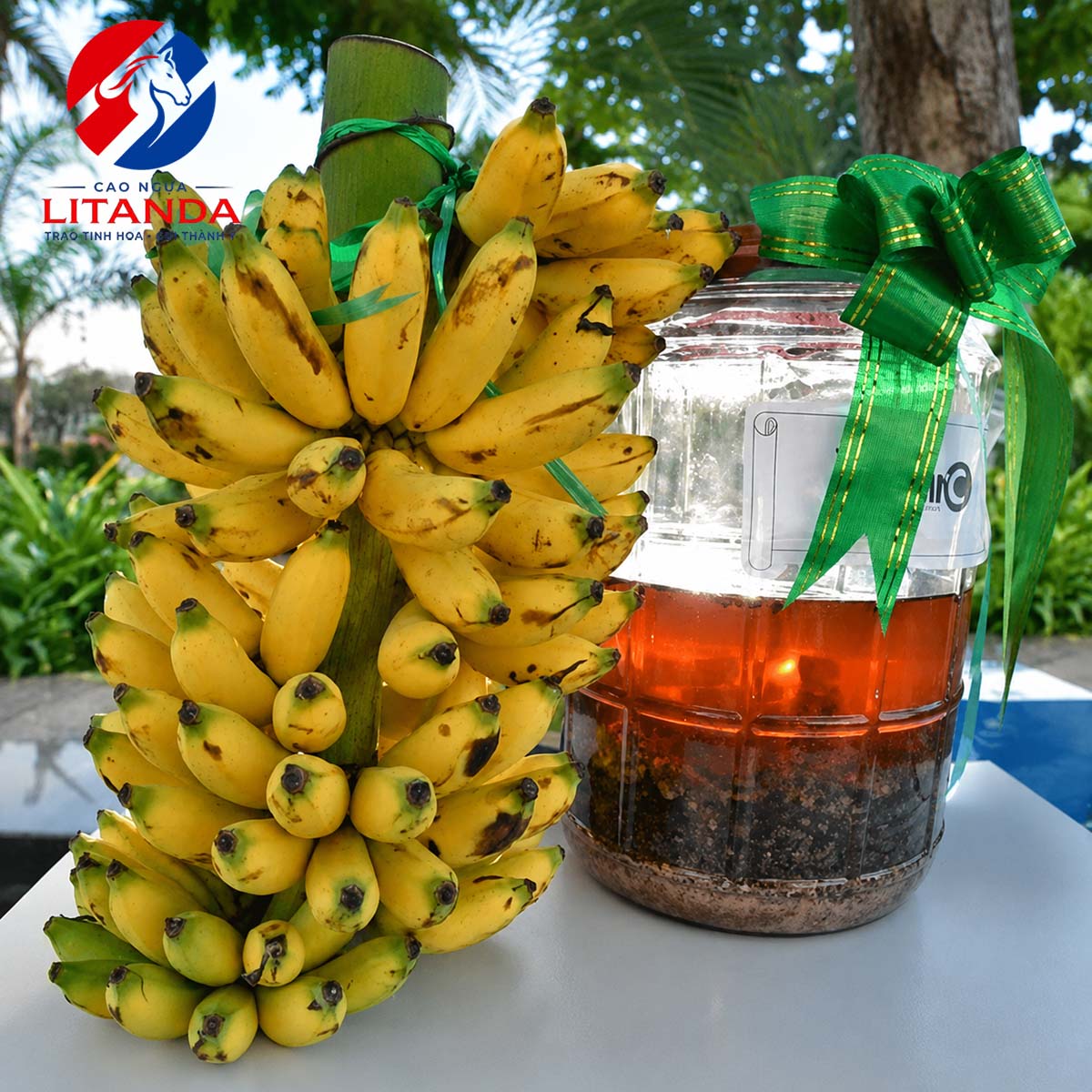Bình rượu nếp ngâm chuối hột